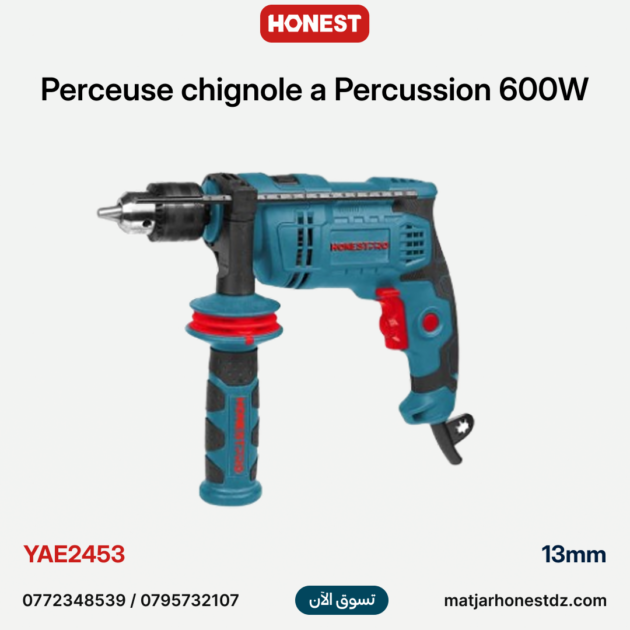 Perceuse chignole a Percussion 600W 13mm avec variateur de vitesse HONESTPRO YAE2453