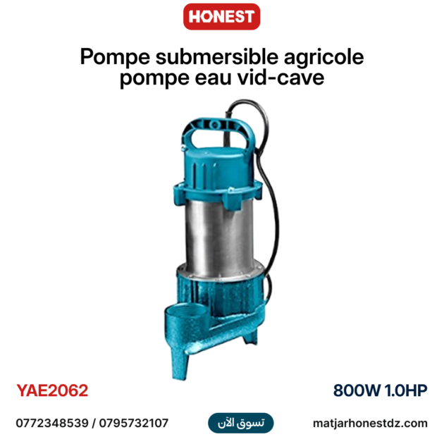 Pompe submersible agricole, pompe eau vid-cave 800w 10.5m3/h 6.5m HONESTPRO YAE2062