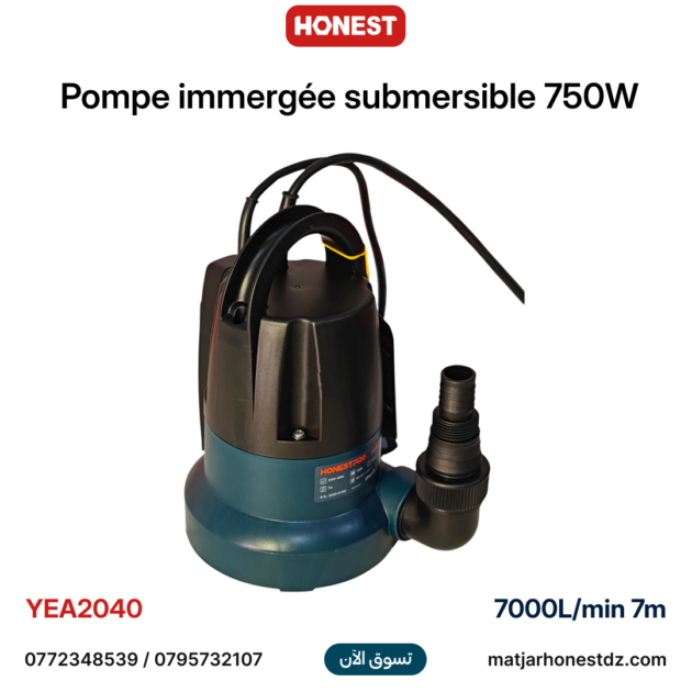 Pompe immergée submersible 750W HONESTPRO YAE2040